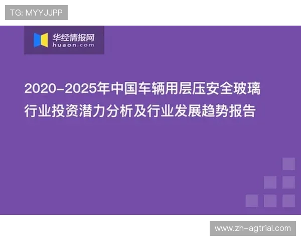 全面解析MG真人平台的安全保障措施，保障玩家游戏体验与资金安全